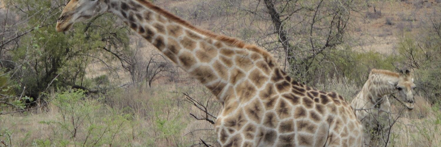 unopas's profile banner image
