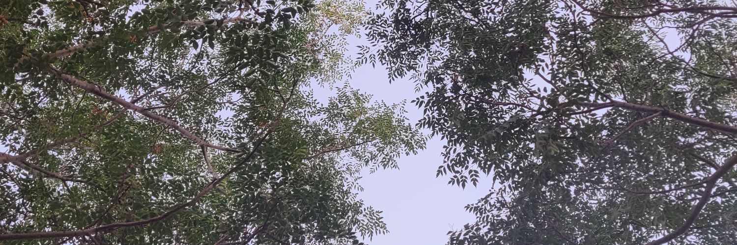 davitsj's profile banner image