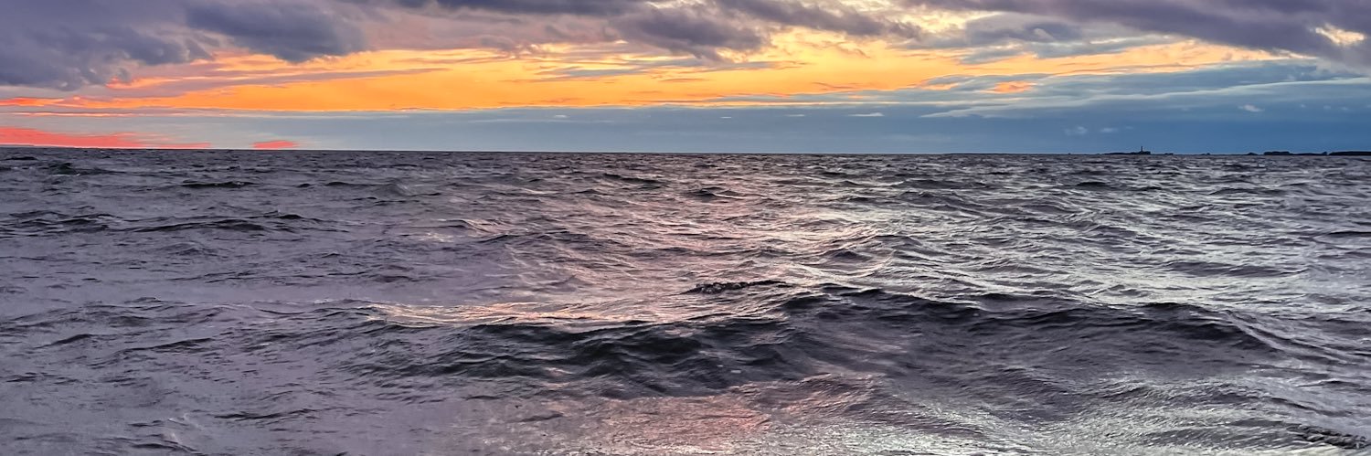 huckleberryjus's profile banner image
