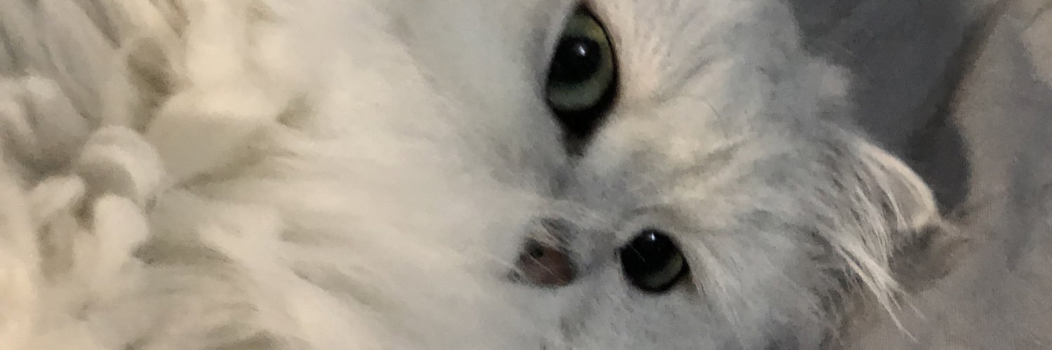 yexqir's profile banner image