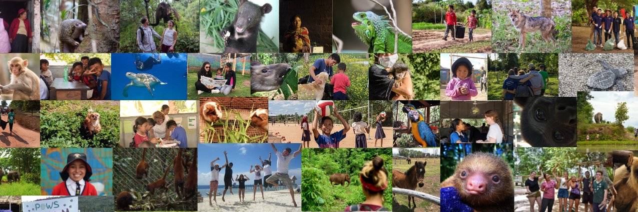 Globalteer's profile banner image