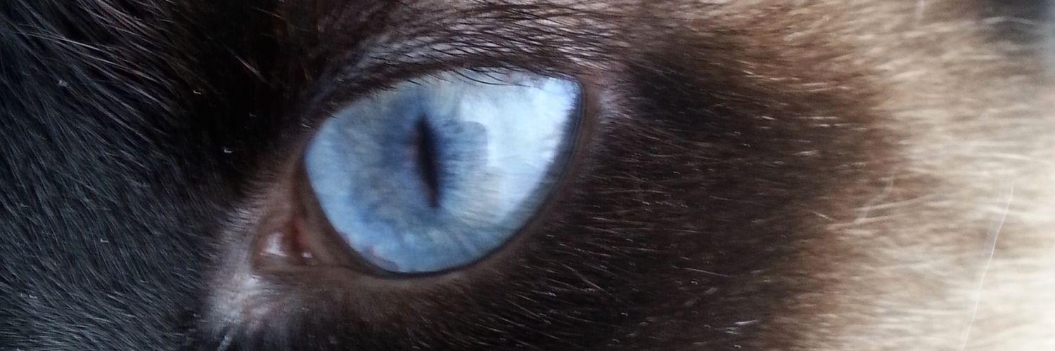 surettejosh's profile banner image