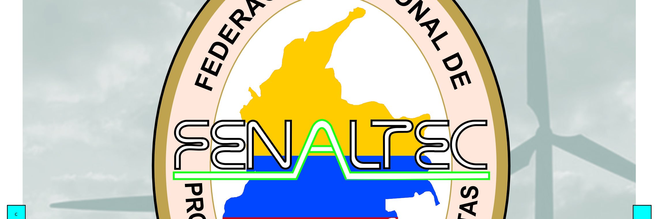 FENALTEC's profile banner image