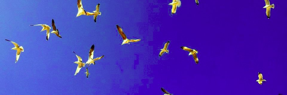 tiltmug's profile banner image
