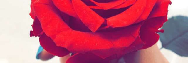 Meshooo_s's profile banner image