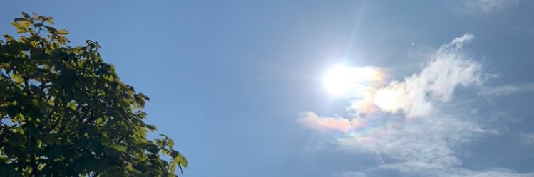 giftmipyna's profile banner image