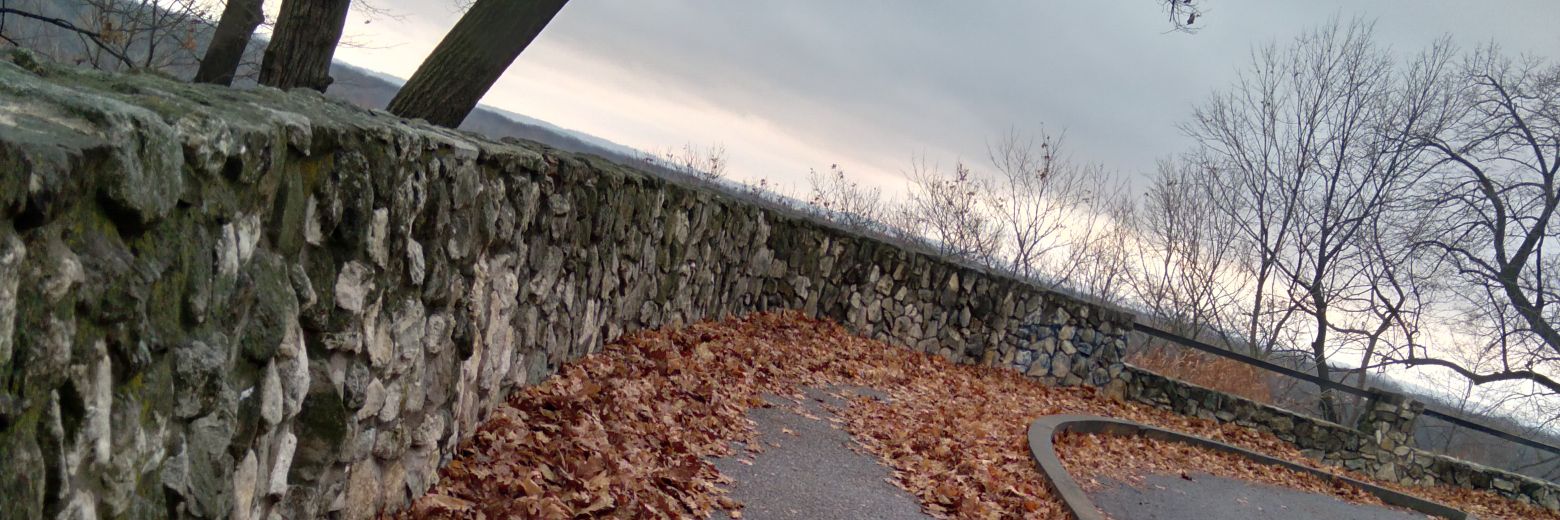 doublexboy's profile banner image