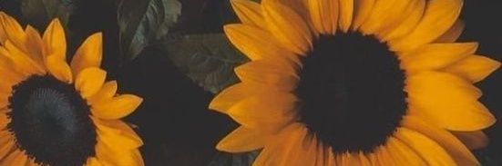 wee_bowie's profile banner image