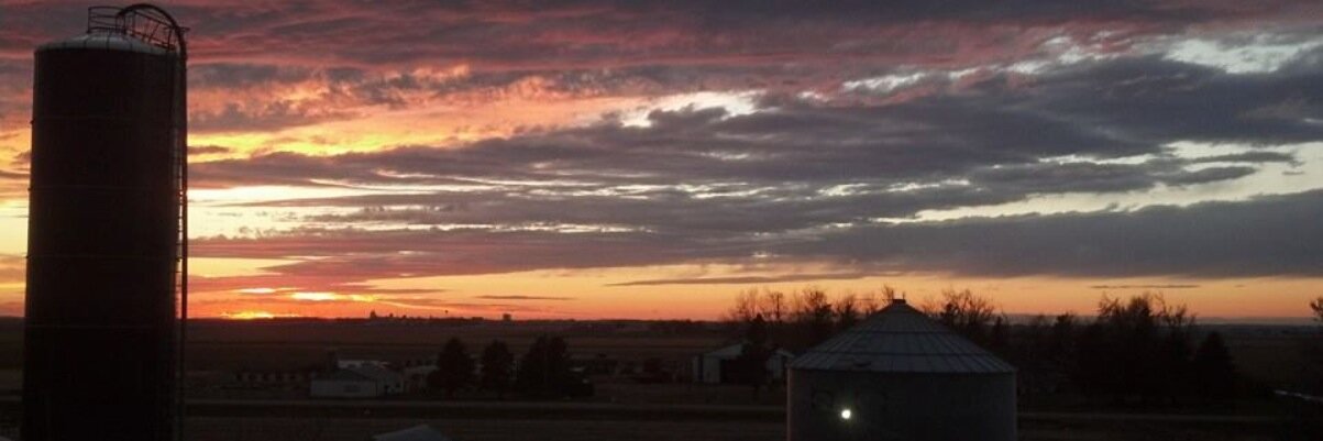 JReisd08's profile banner image