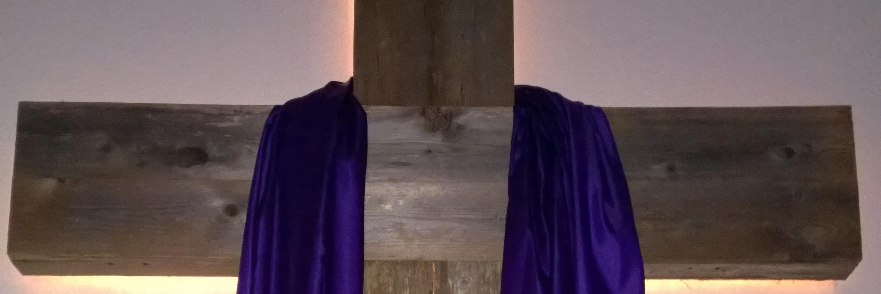 William Dee Daniel banner