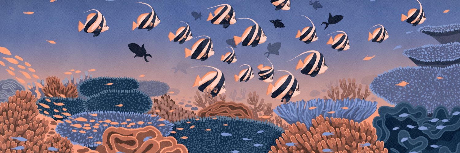 Zeina Shareef banner