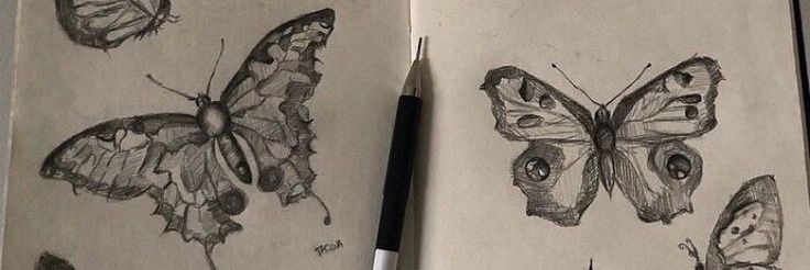 melisalanis's profile banner image