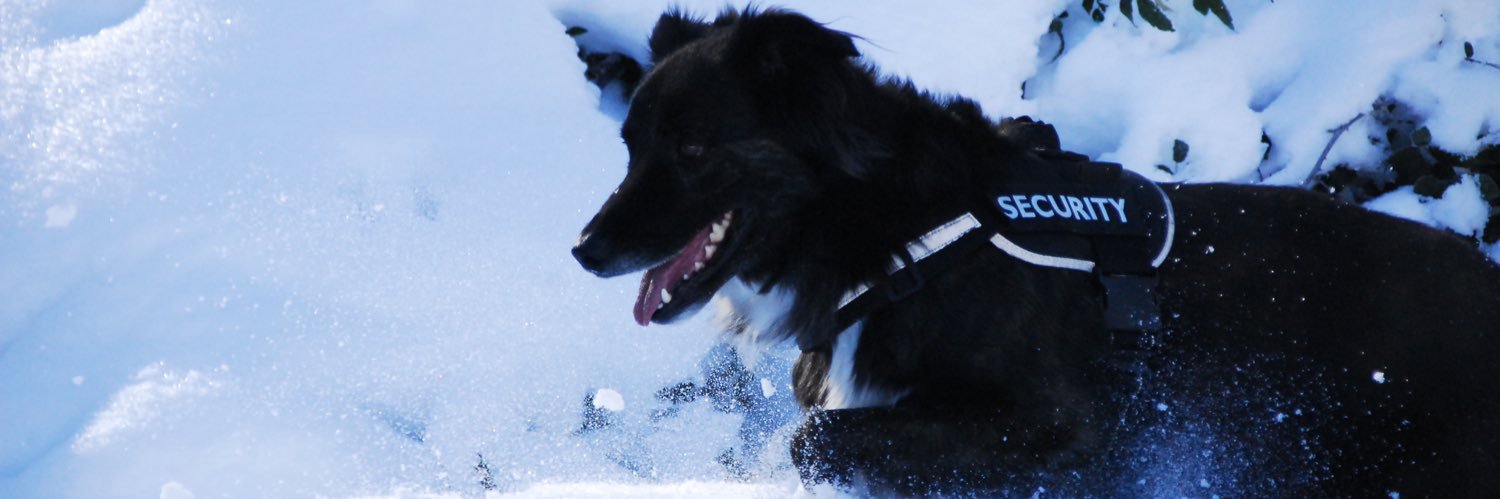 Jesus Sanchez Garcia banner