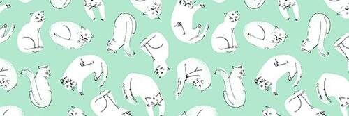 A. banner