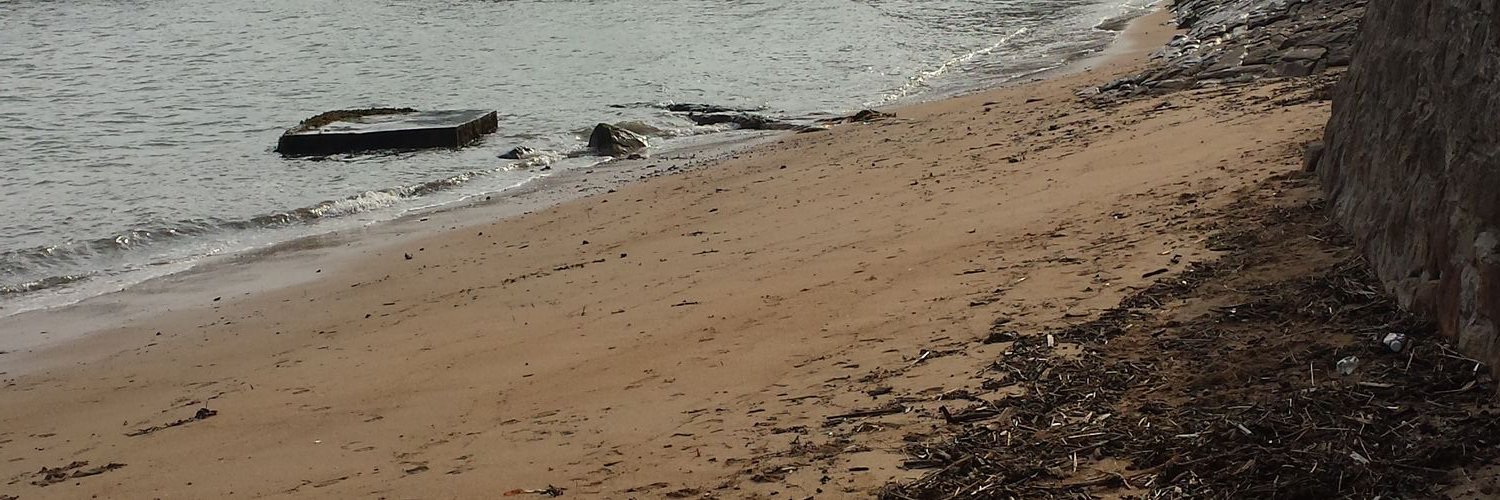 rugbychap's profile banner image
