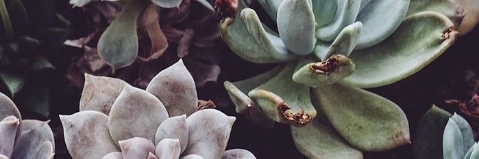Sam_Oxx's profile banner image