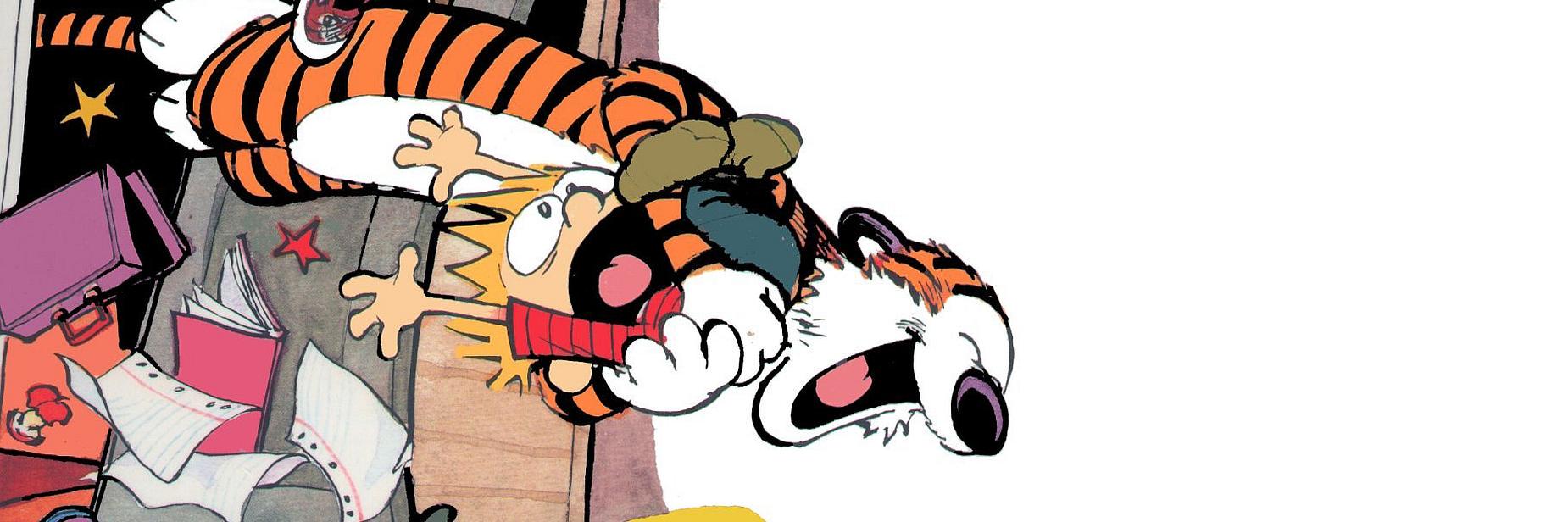 arasrini's profile banner image