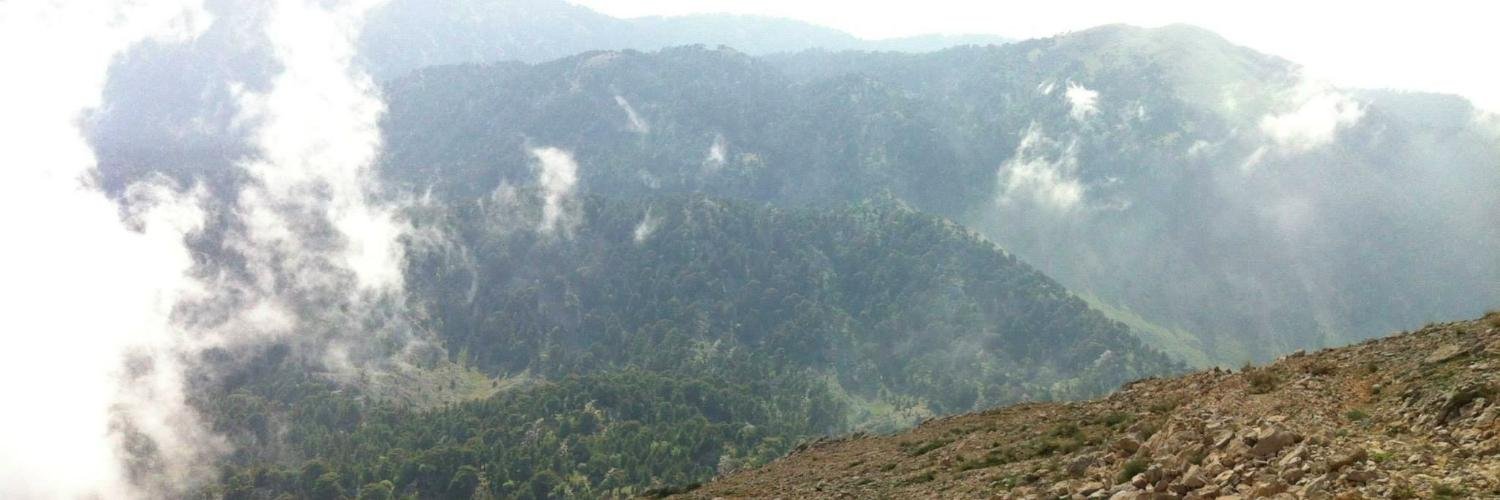 AybarsSurucu's profile banner image