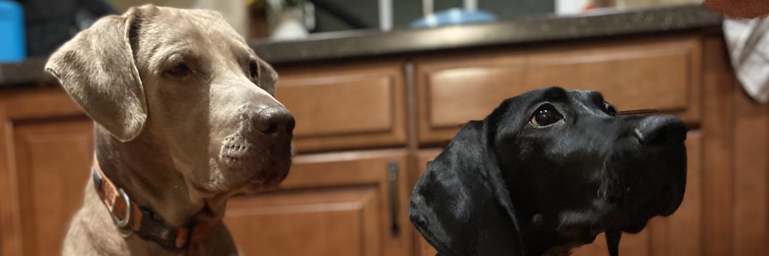 AmandaJM12's profile banner image