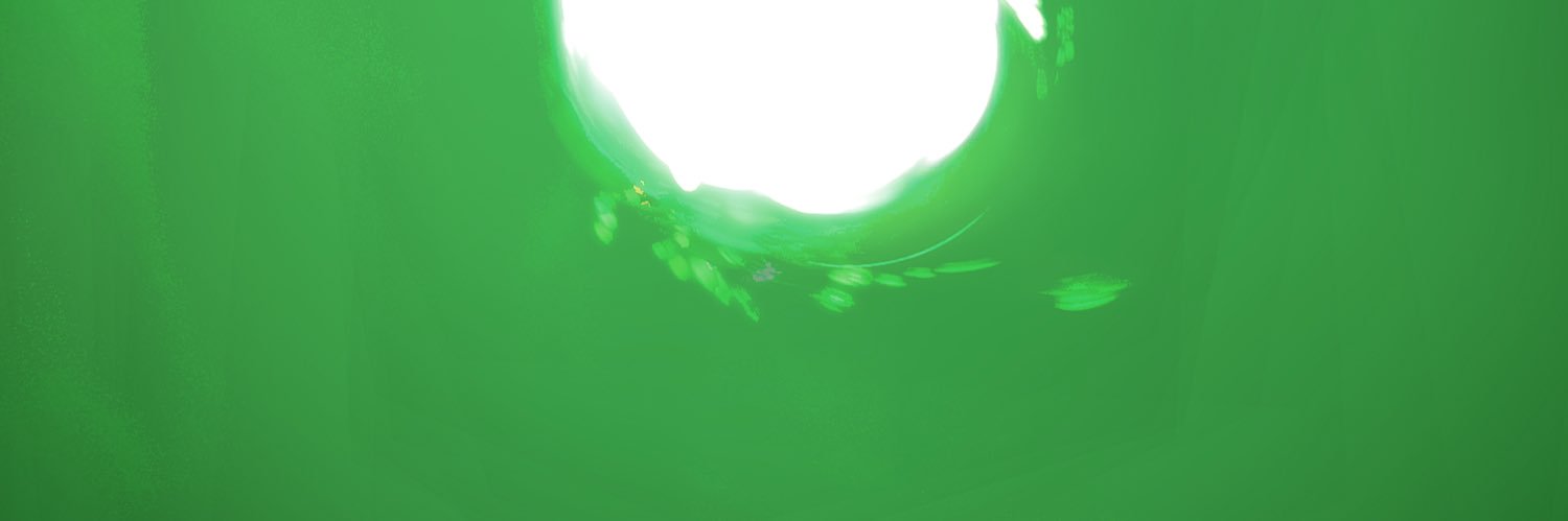 OneMoa's profile banner image