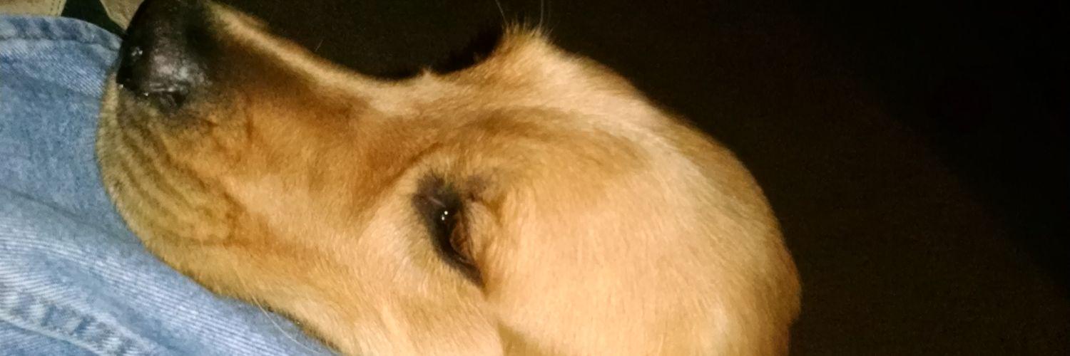 douglasjess's profile banner image