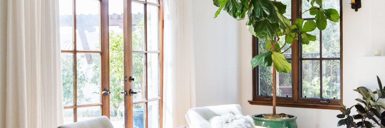 NualaRyder's profile banner image