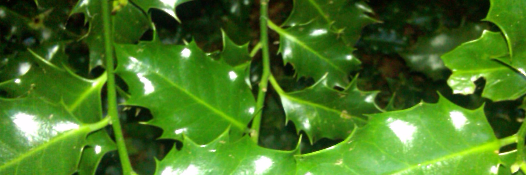 omolewa's profile banner image