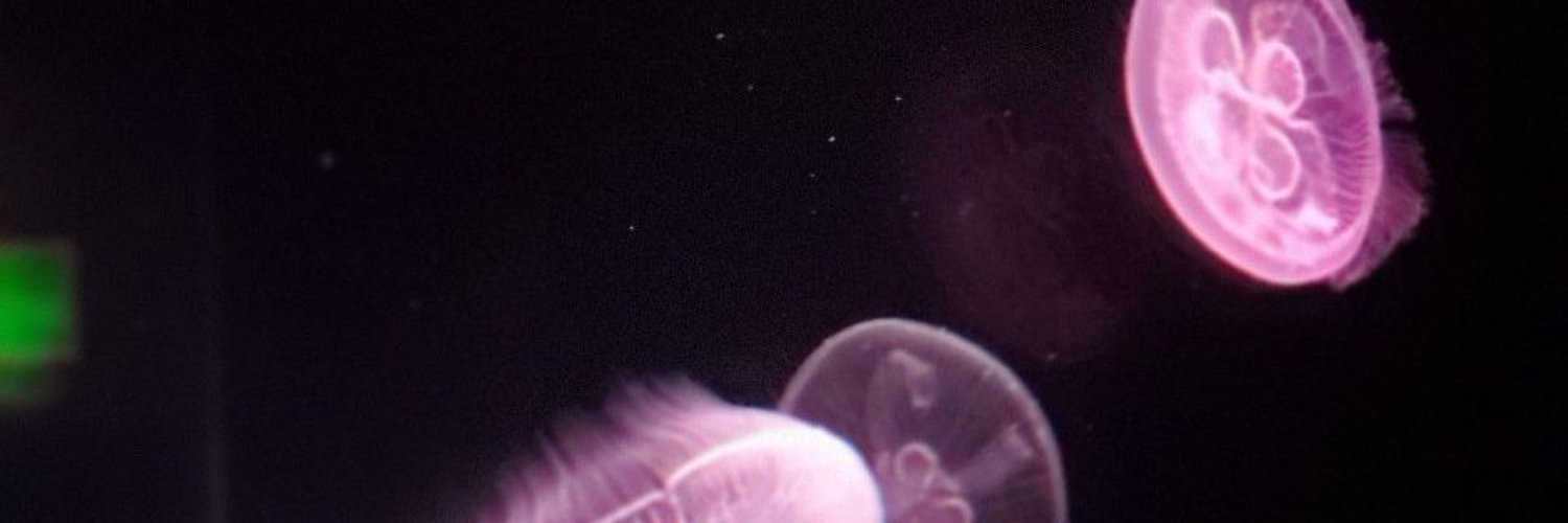 BeerRhian's profile banner image