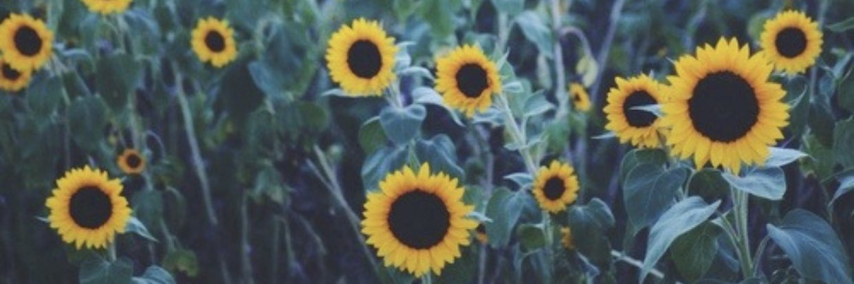 AubreyGuinn's profile banner image