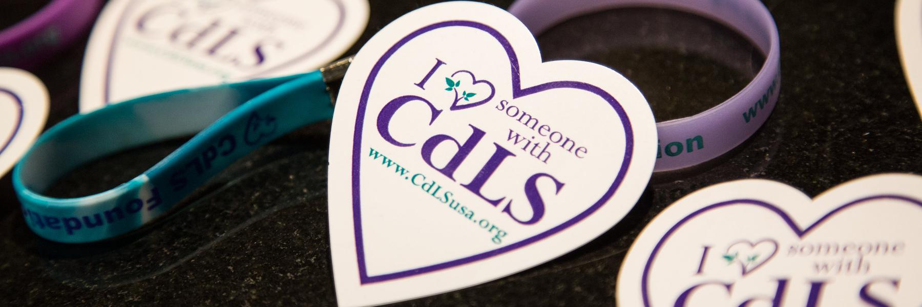CdLSFoundation's profile banner image
