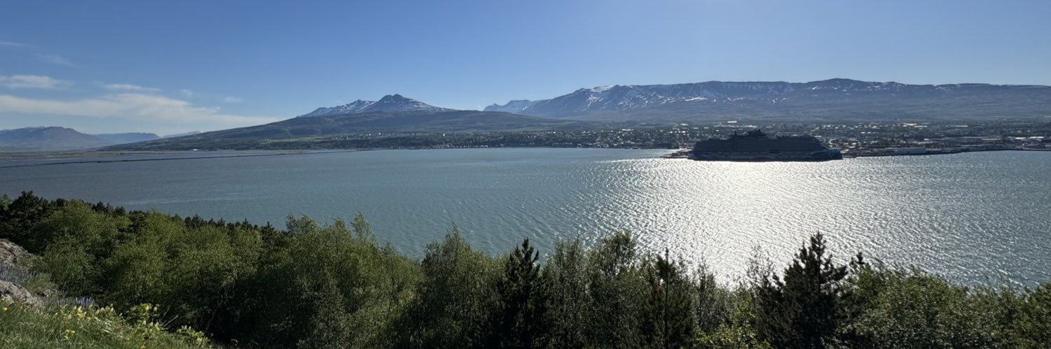 TheDisgruntledSubmariner banner