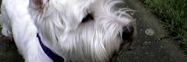 HodsonIan's profile banner image