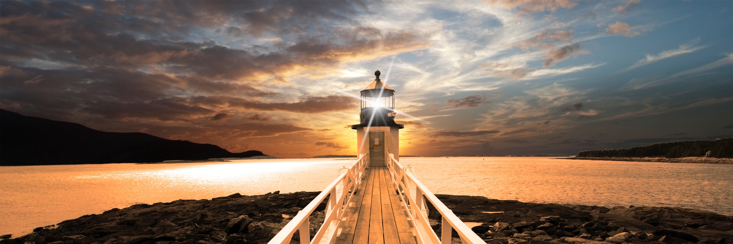 Steve Pemberton banner