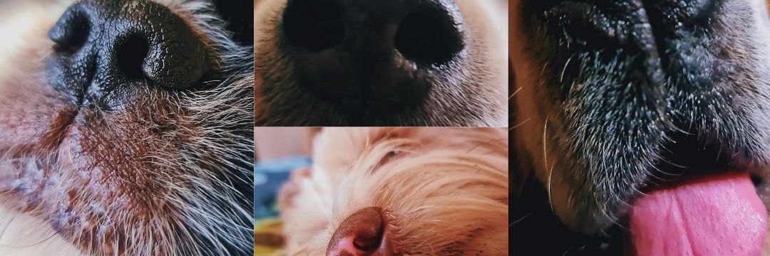 MixiMix1's profile banner image