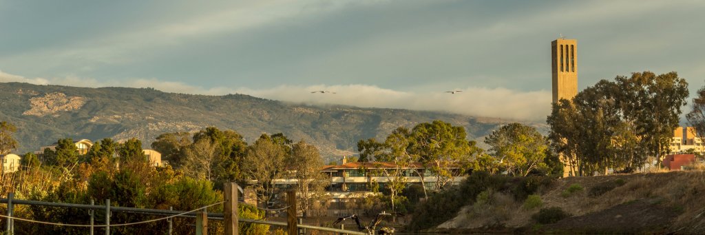 georgeKal1's profile banner image