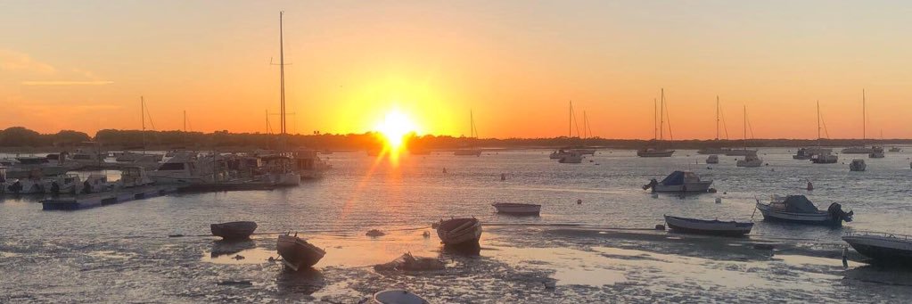 aisling_corbett's profile banner image