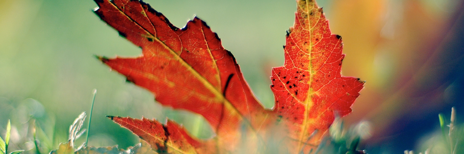 CheerfulQuotes_'s profile banner image