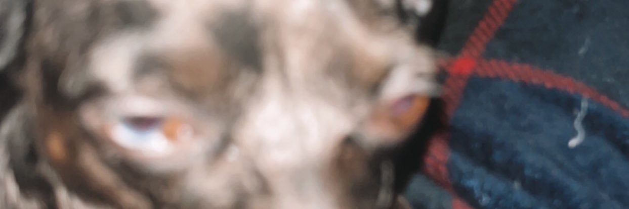 v_crisp's profile banner image