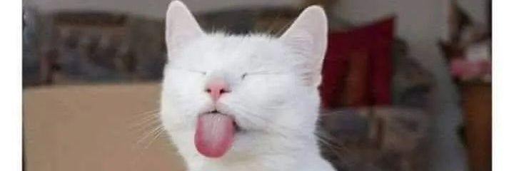 CRAKC30's profile banner image