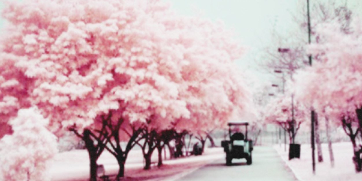 _PaigeXx's profile banner image