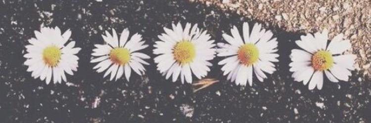 _kaityjohnson4's profile banner image