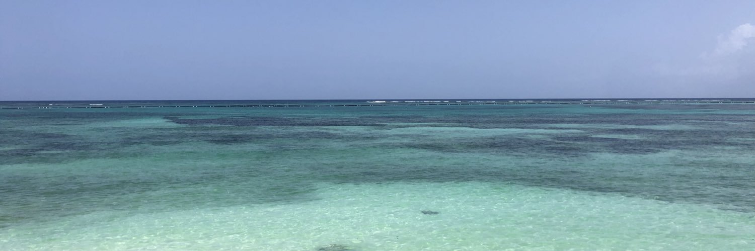 cecedille94's profile banner image