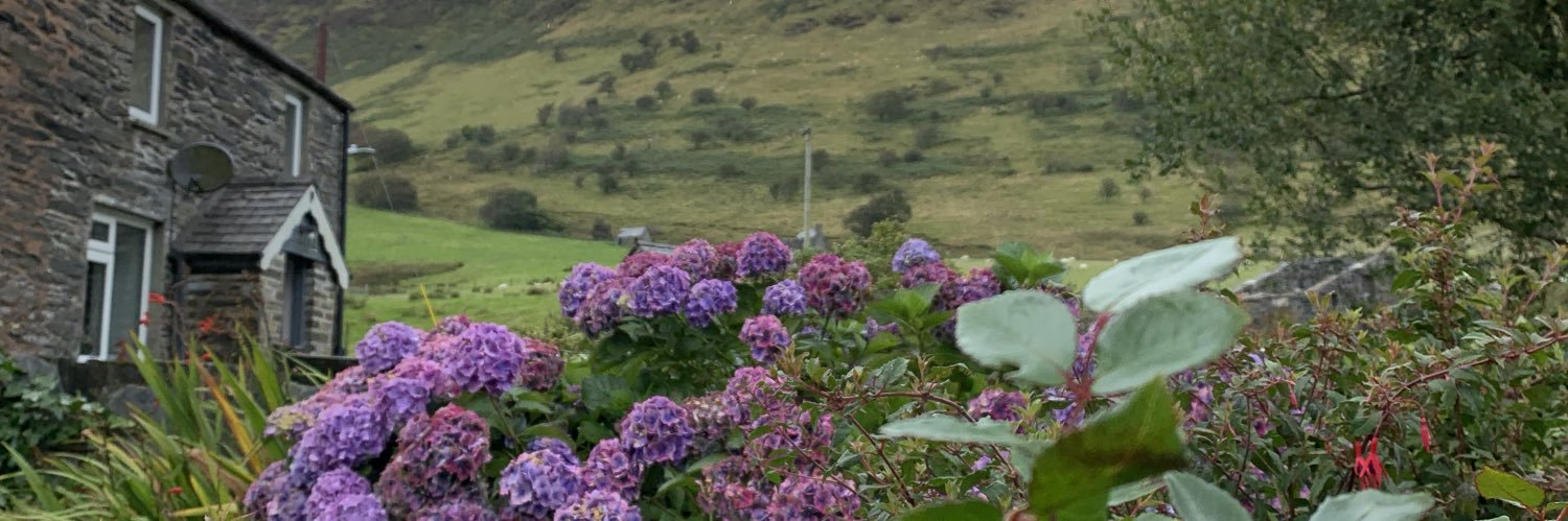 JJ_nqt's profile banner image