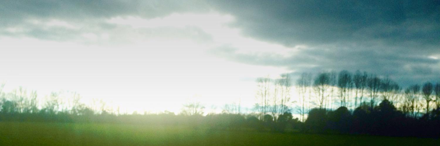 piperdan89's profile banner image