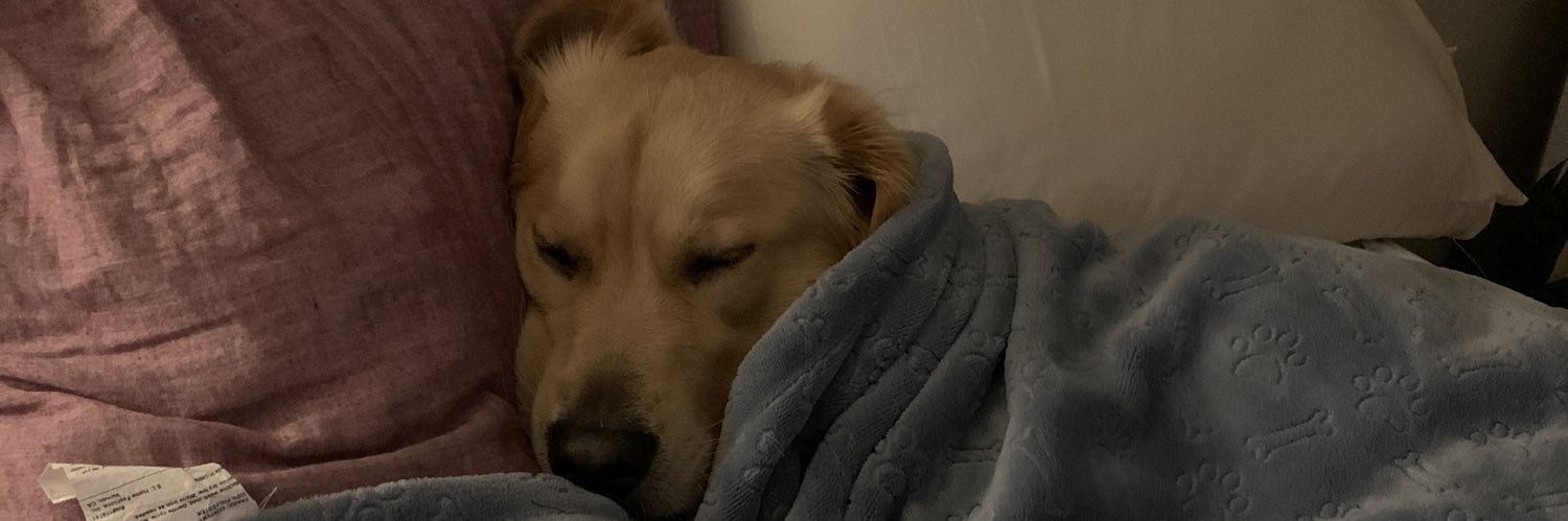 _alirenee's profile banner image