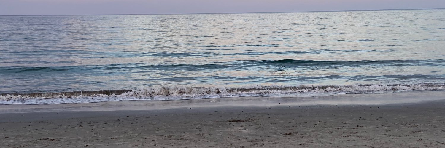 ms_dunphy's profile banner image