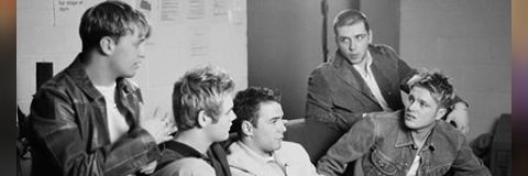 sovitofebrian's profile banner image