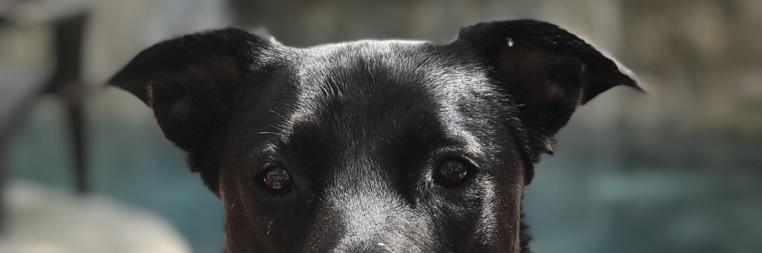 mccallhonakeer's profile banner image