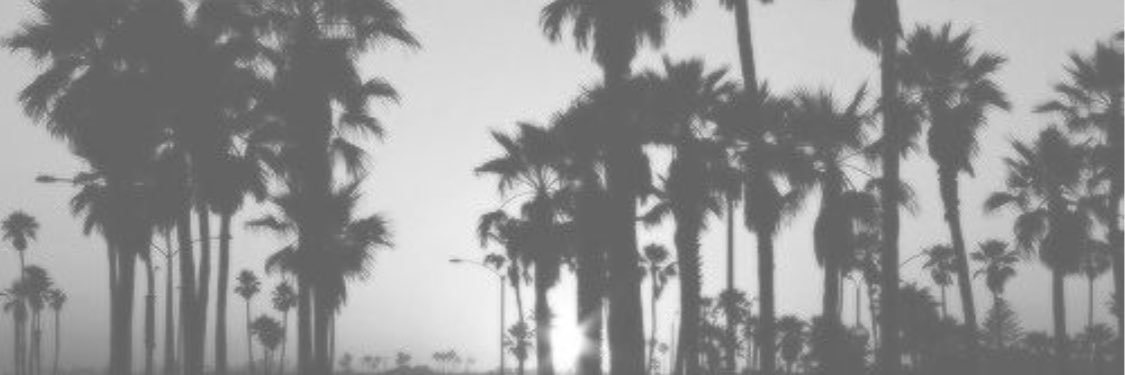 ashleyyrich's profile banner image