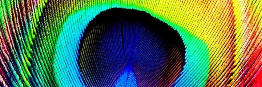 CasaConscious's profile banner image